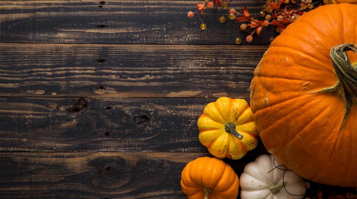 Planting the (Pumpkin) Seeds of Learning with… | PBS Education